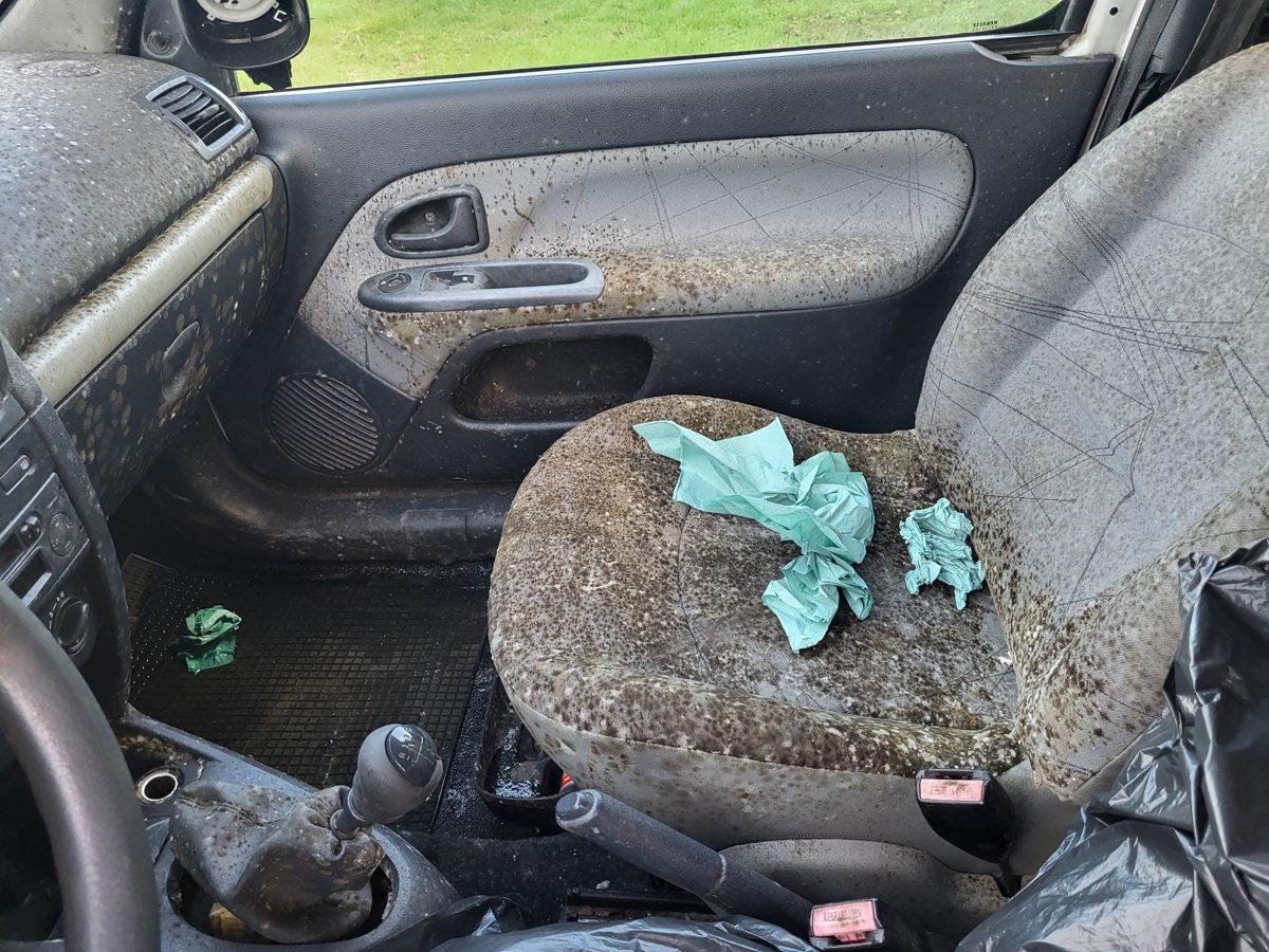 Autoturism M1 marca RENAULT model CLIO 1.5 DCI 1