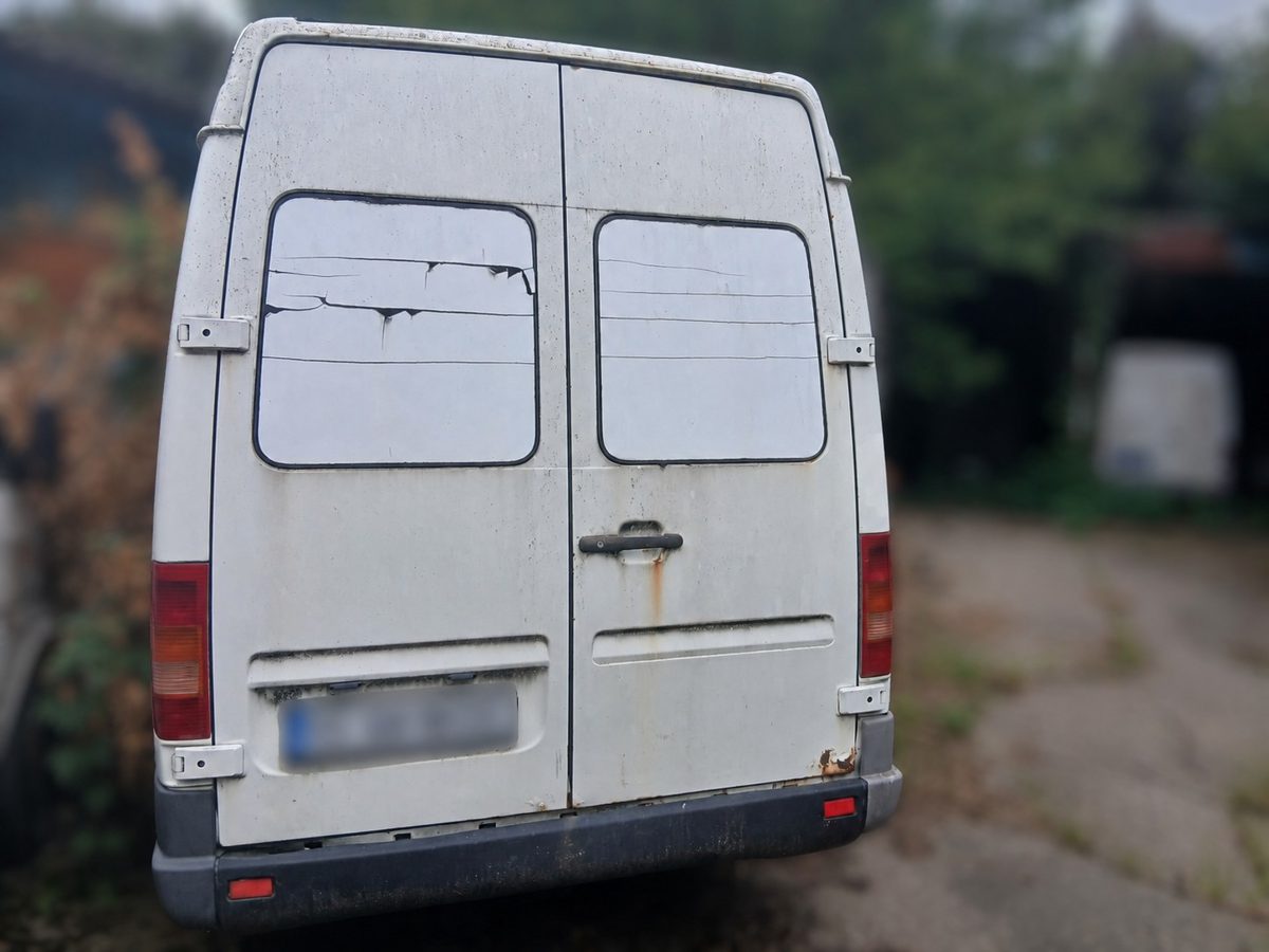 Miniatură 5