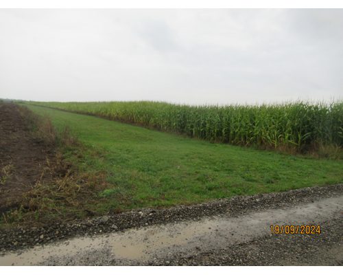 Teren agricol - extravilan in suprafata de 2575 MP 1