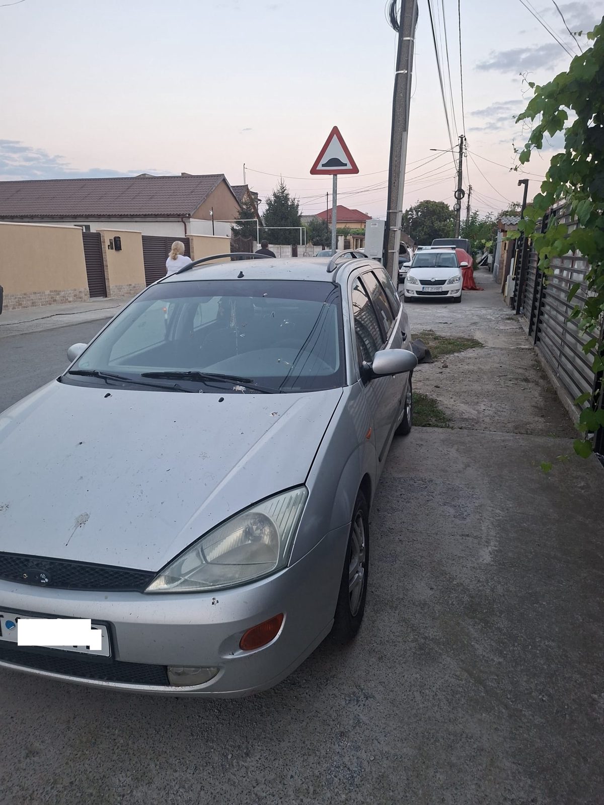 Miniatură 2