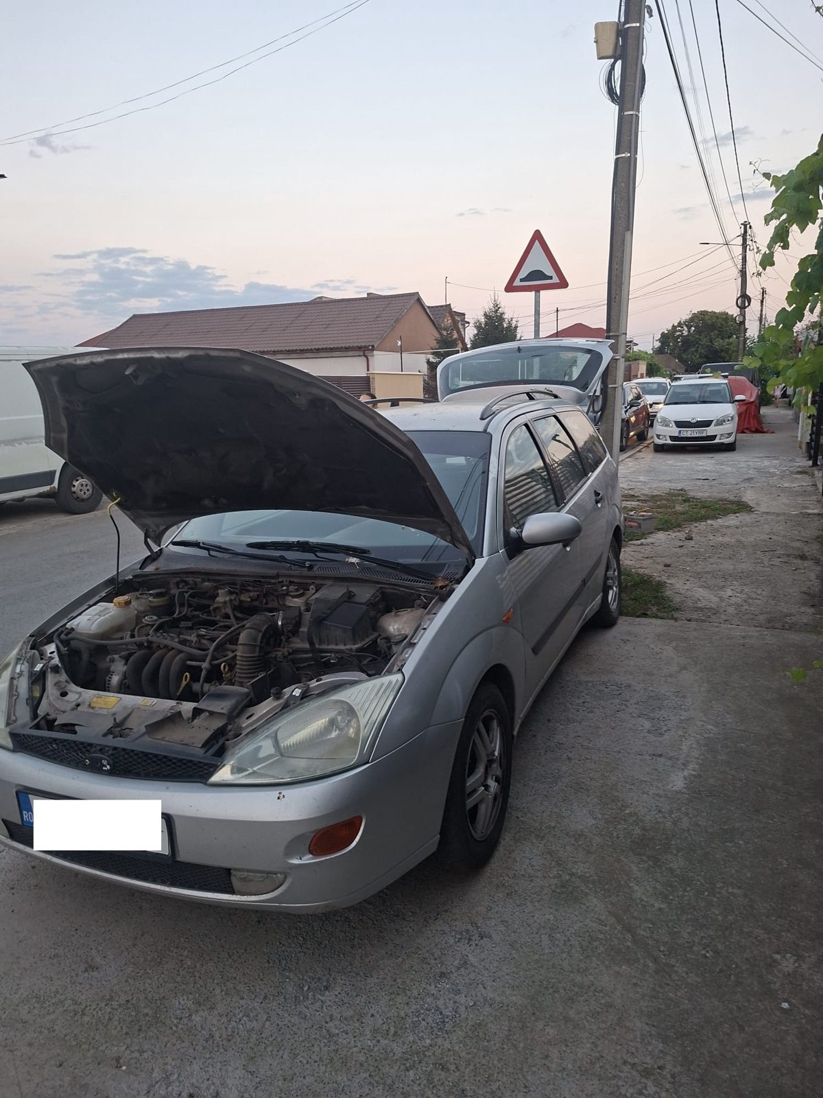 Miniatură 5