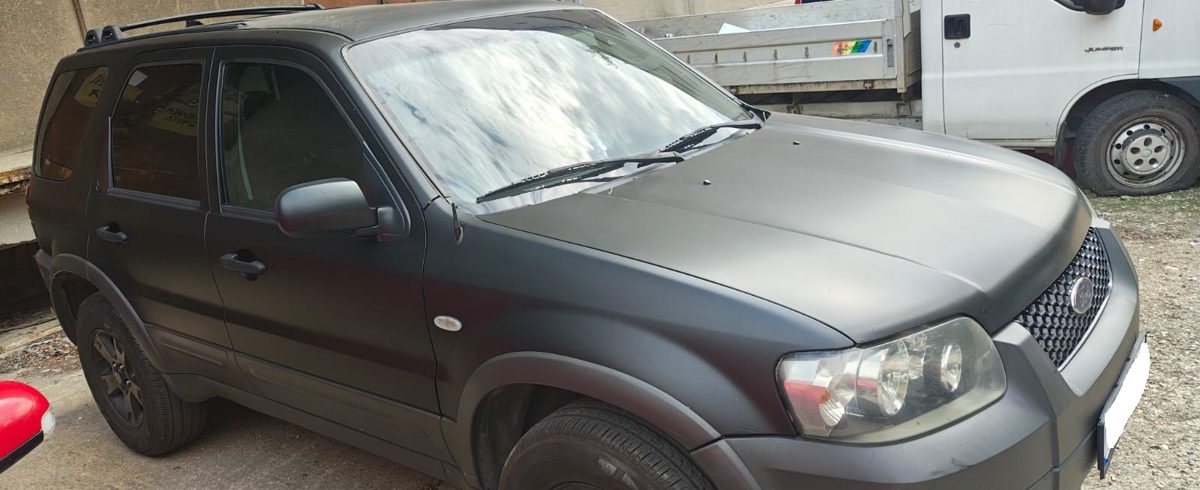 Miniatură 6