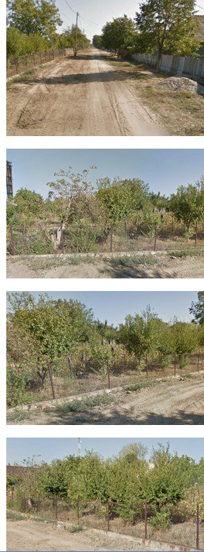 Teren agricol - in suprafata de 480 MP