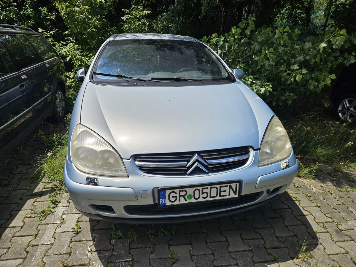 Miniatură 7