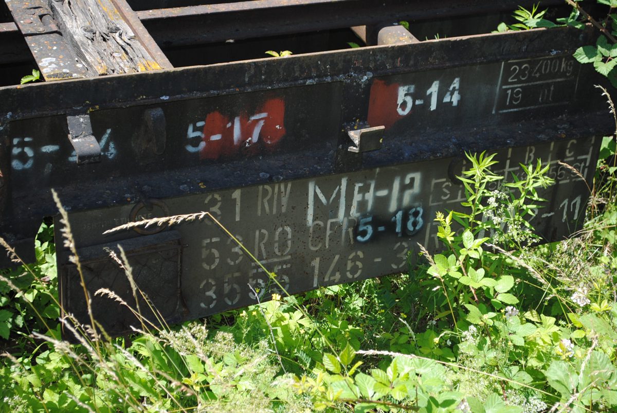 Miniatură 3