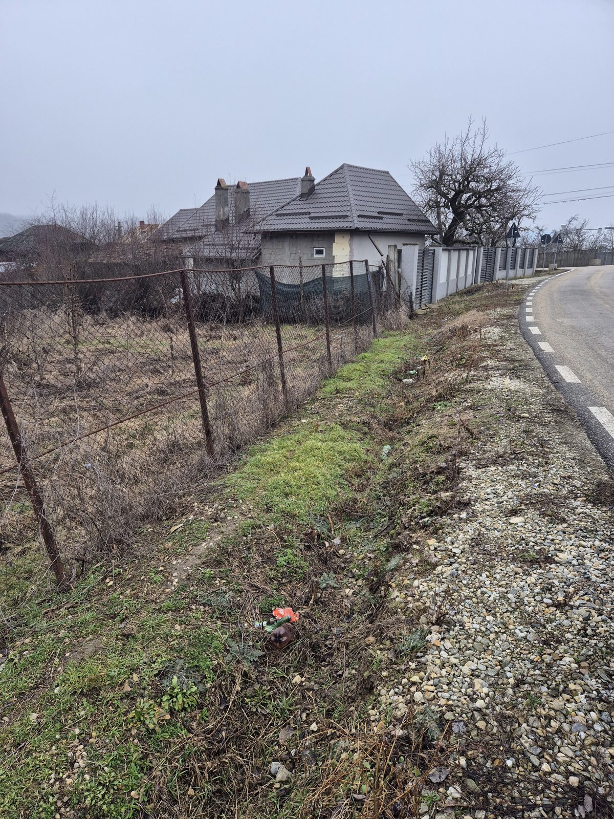 Miniatură 4
