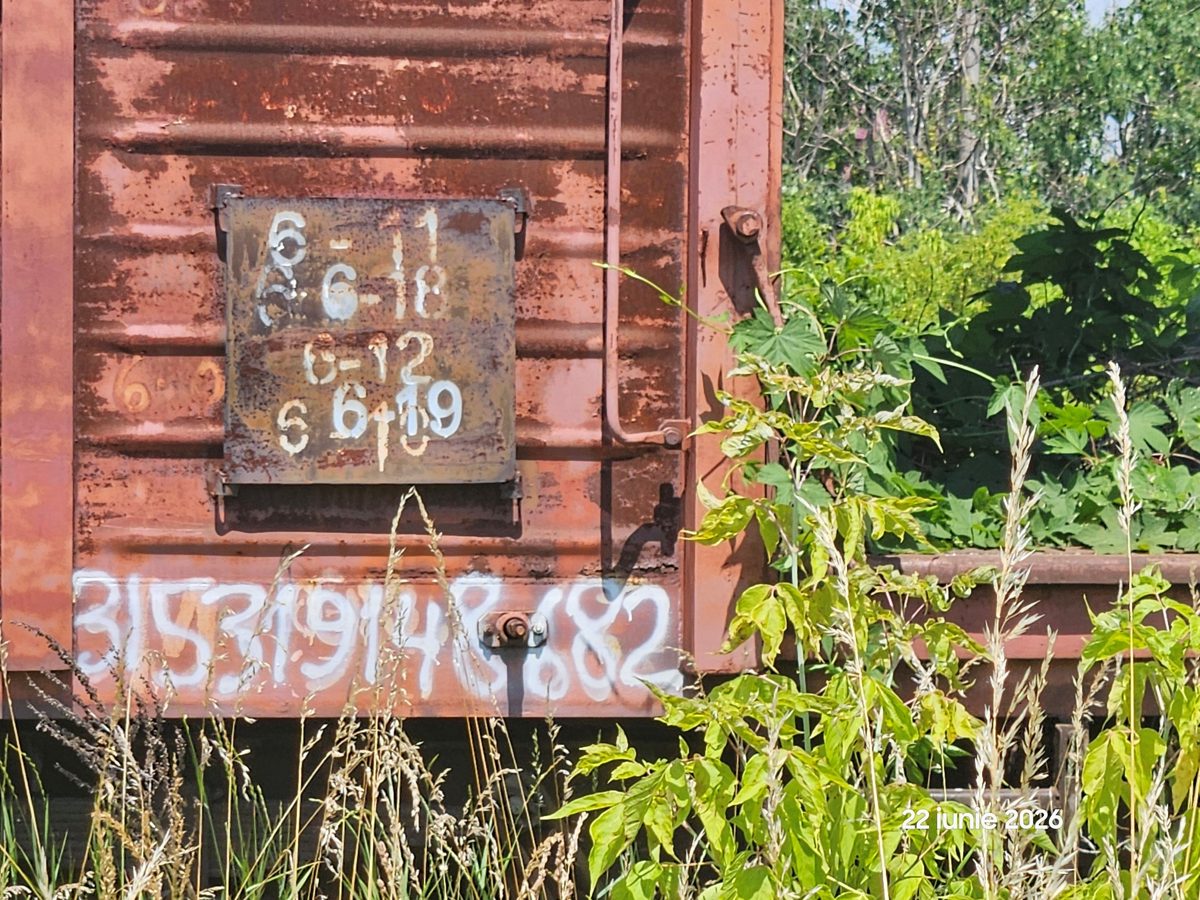 Miniatură 2