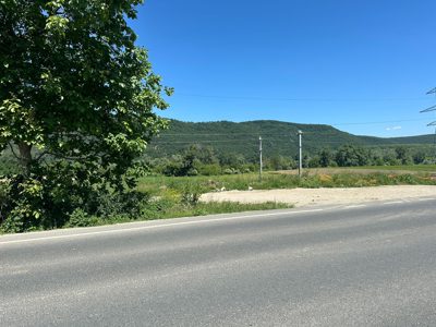 Teren agricol - in suprafata de 203 MP