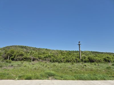Pasune - in suprafata de 10000 MP