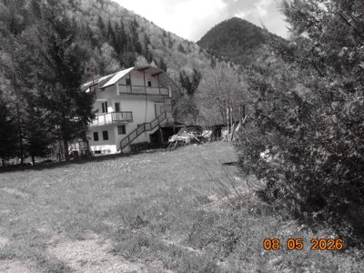 Faneata -