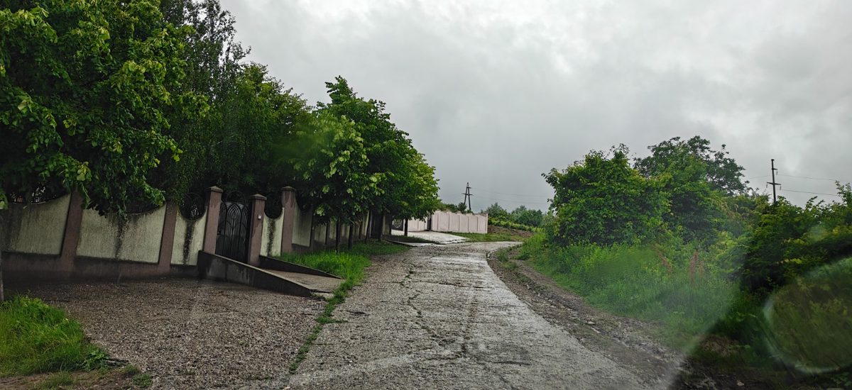 Miniatură 6