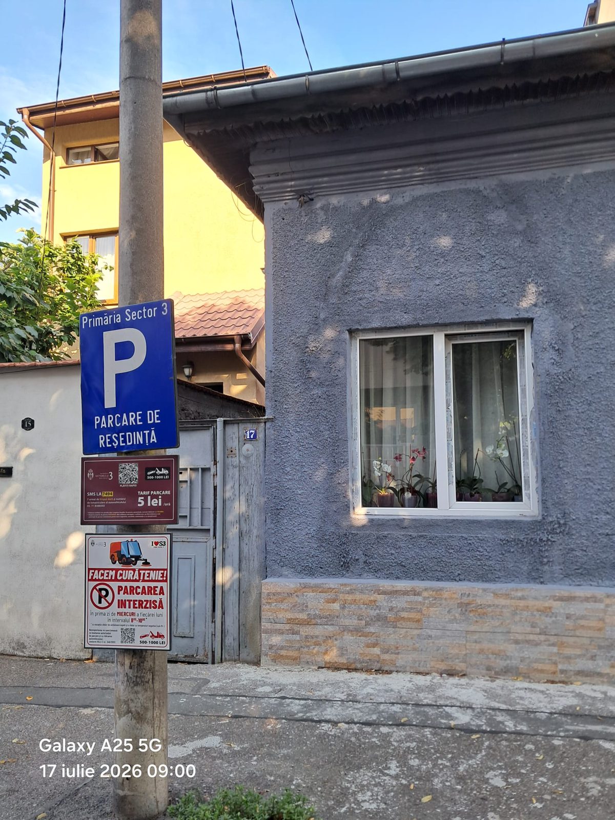 Miniatură 3