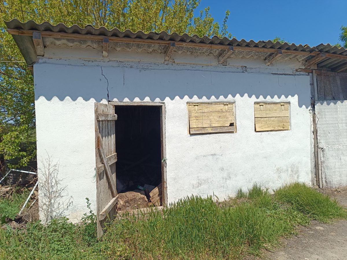 Miniatură 2