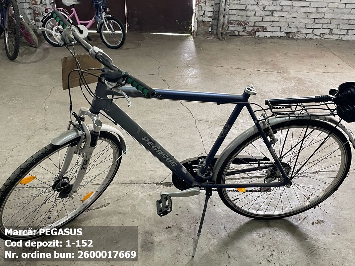 Bicicleta- Pegasus 1