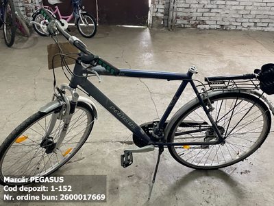 Bicicleta- Pegasus