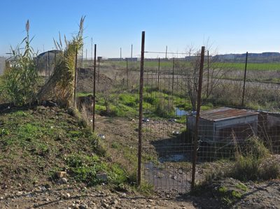 Teren intravilan  situat in  localitatea Pielesti, judetul Dolj