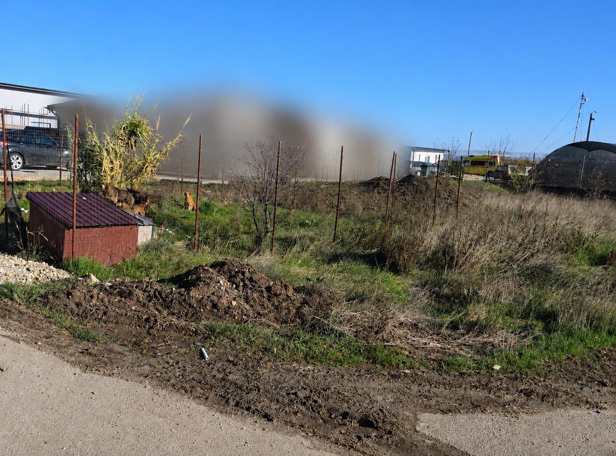 Miniatură 2