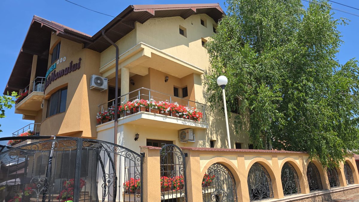 Miniatură 2