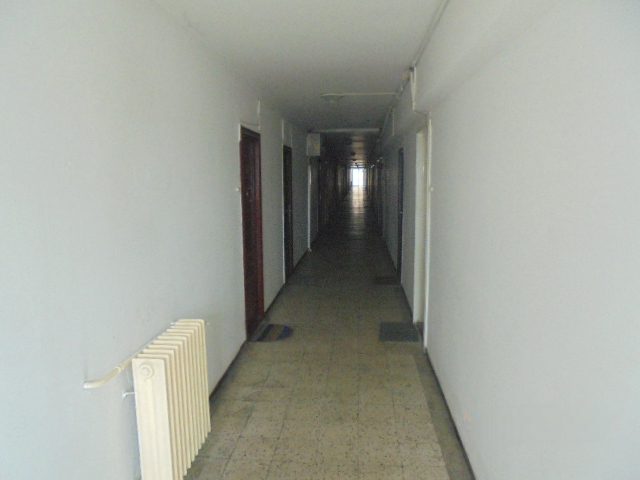 Miniatură 6