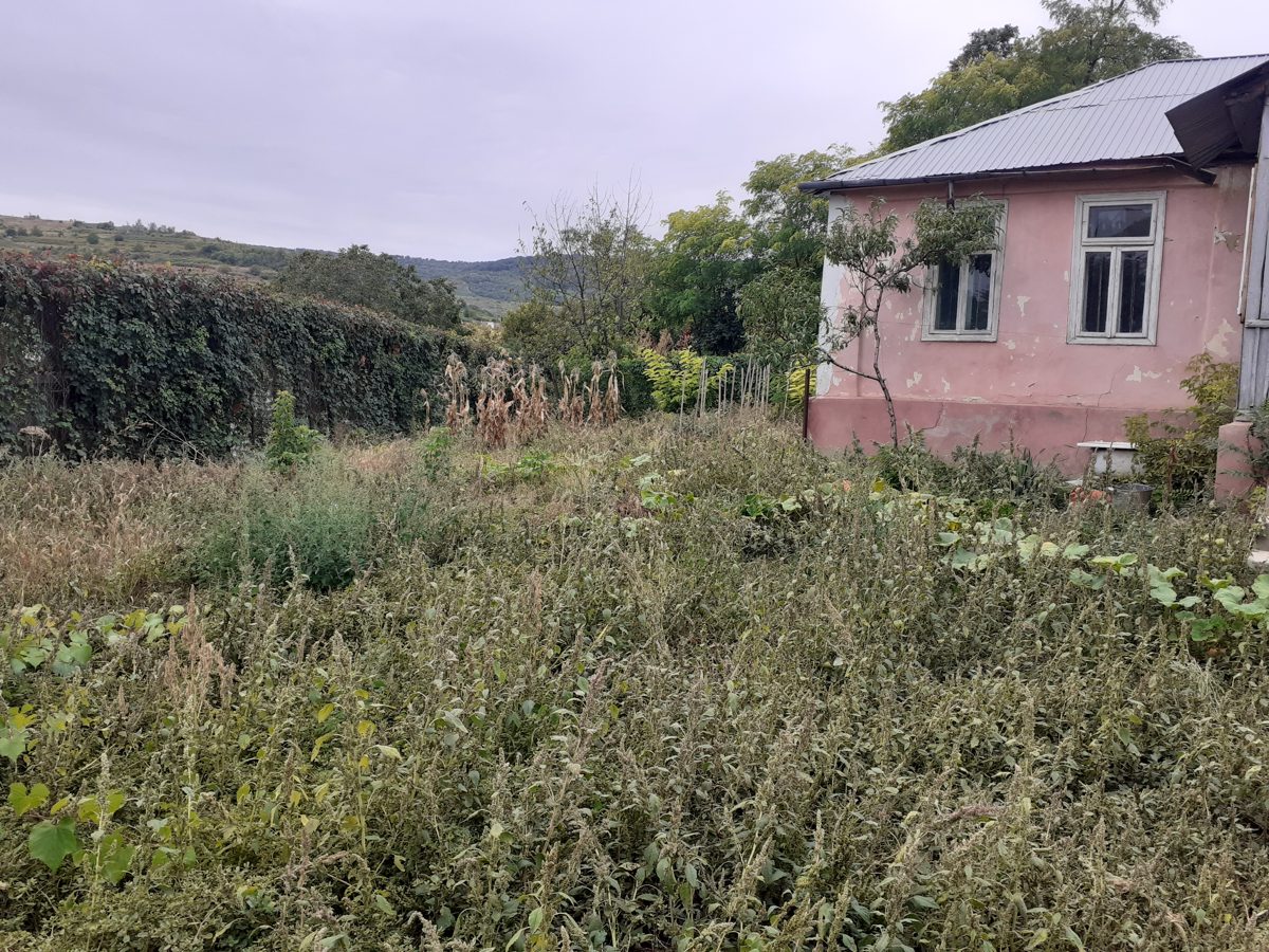 Casa/Vila - INTRAVILAN 1