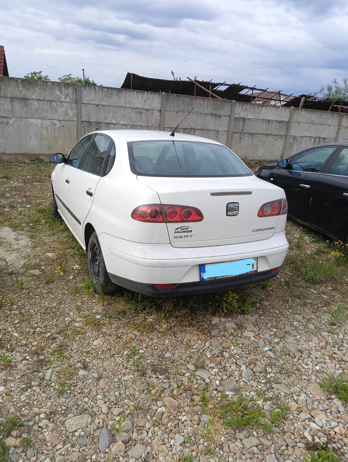 Miniatură 2