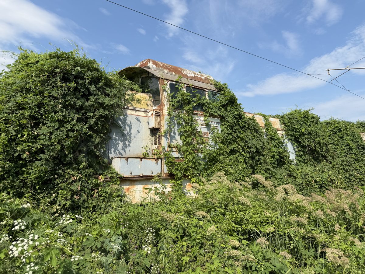Miniatură 3