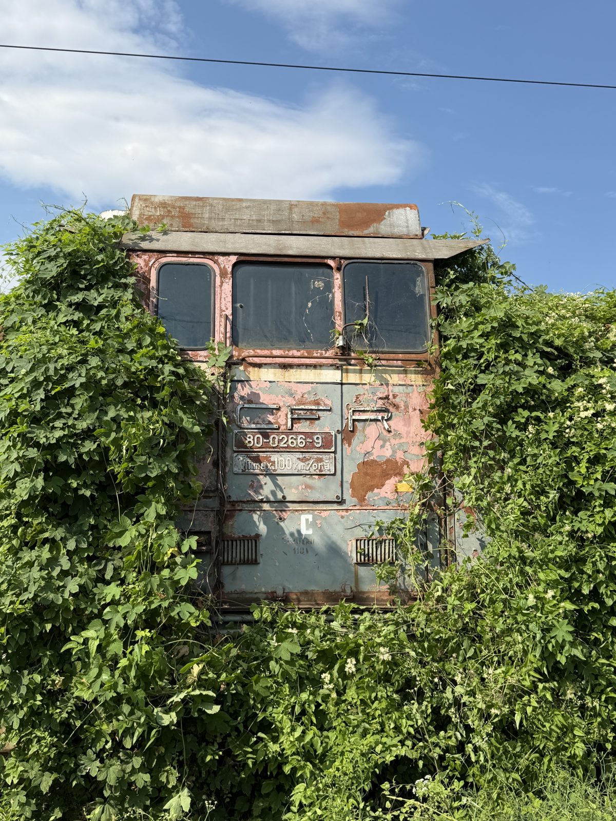Locomotiva 24081 - LOCOMOTIVA DIESEL HIDRAULIC-1250-CP COD 8002669 (01.05.1973) 1