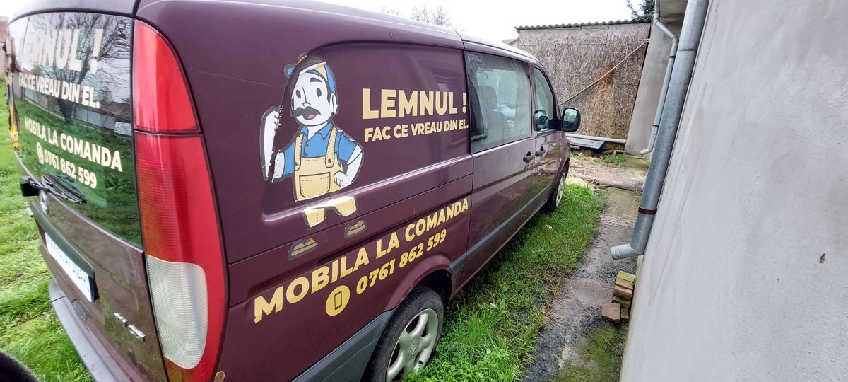 Miniatură 3
