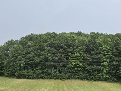 Teren agricol -