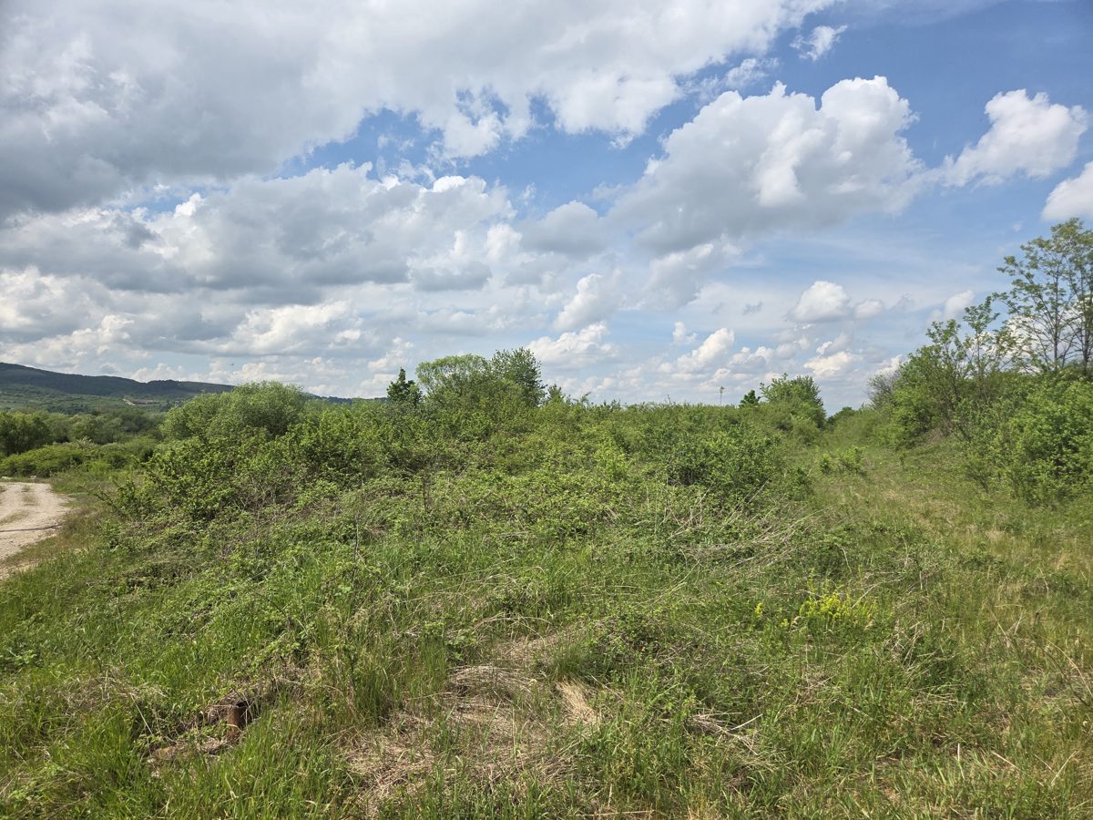 Teren  extravilan, in suprafata de 951 mp, situiat in loc Ghighiseni, jud Bihor 1