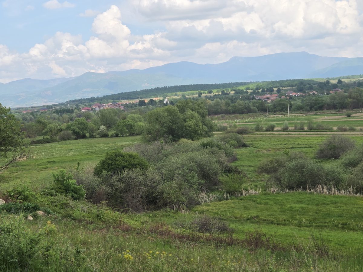 Miniatură 2