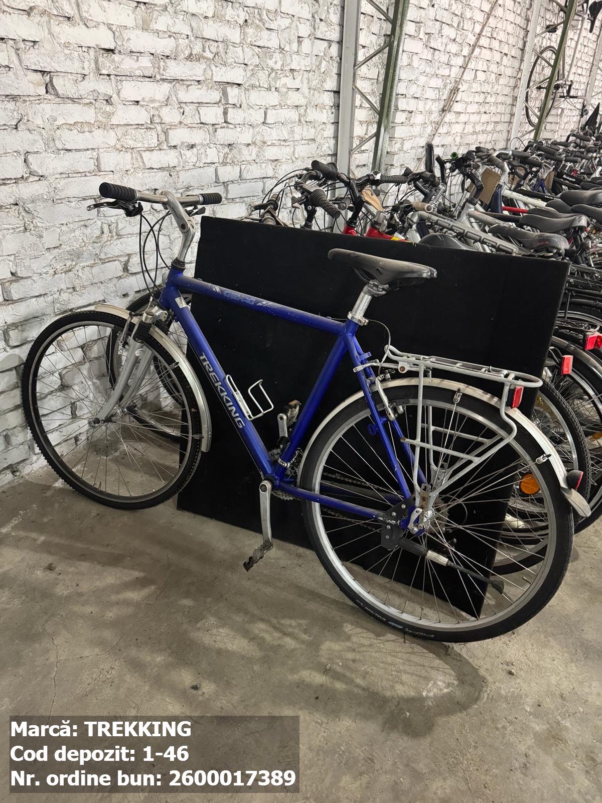 Bicicleta- Trekking 1