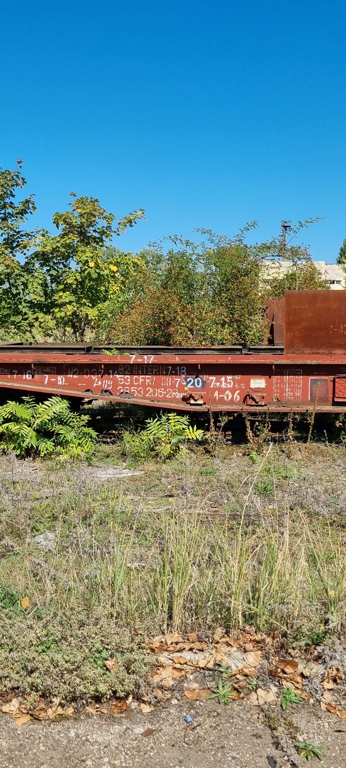 Vagon 825338532062 - Vagon marfa RMMS (1982) 1
