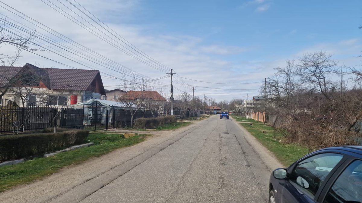 Miniatură 3