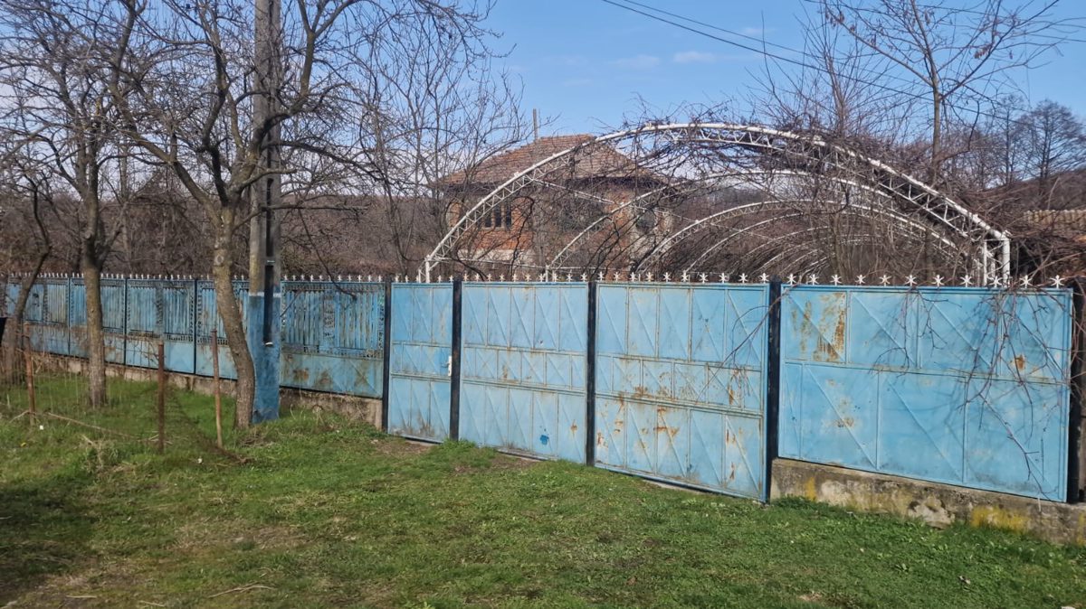 Miniatură 4