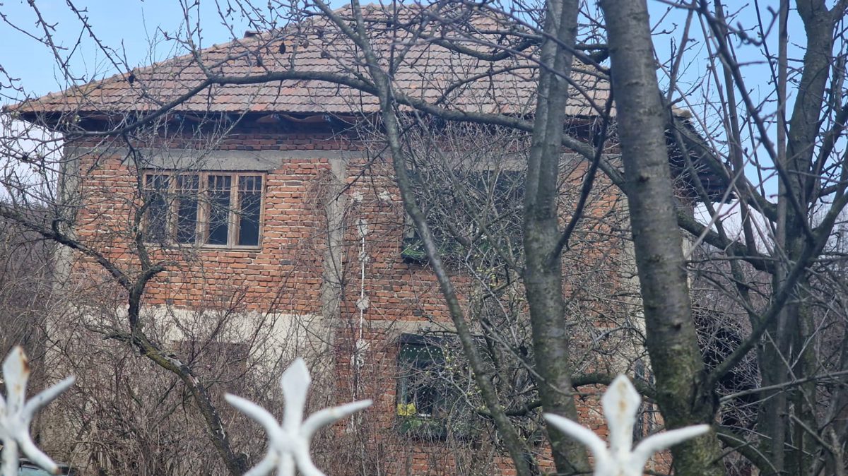 Miniatură 5