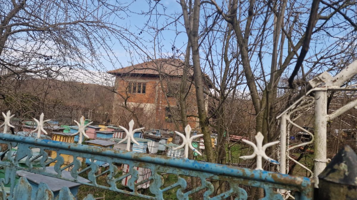 Miniatură 6