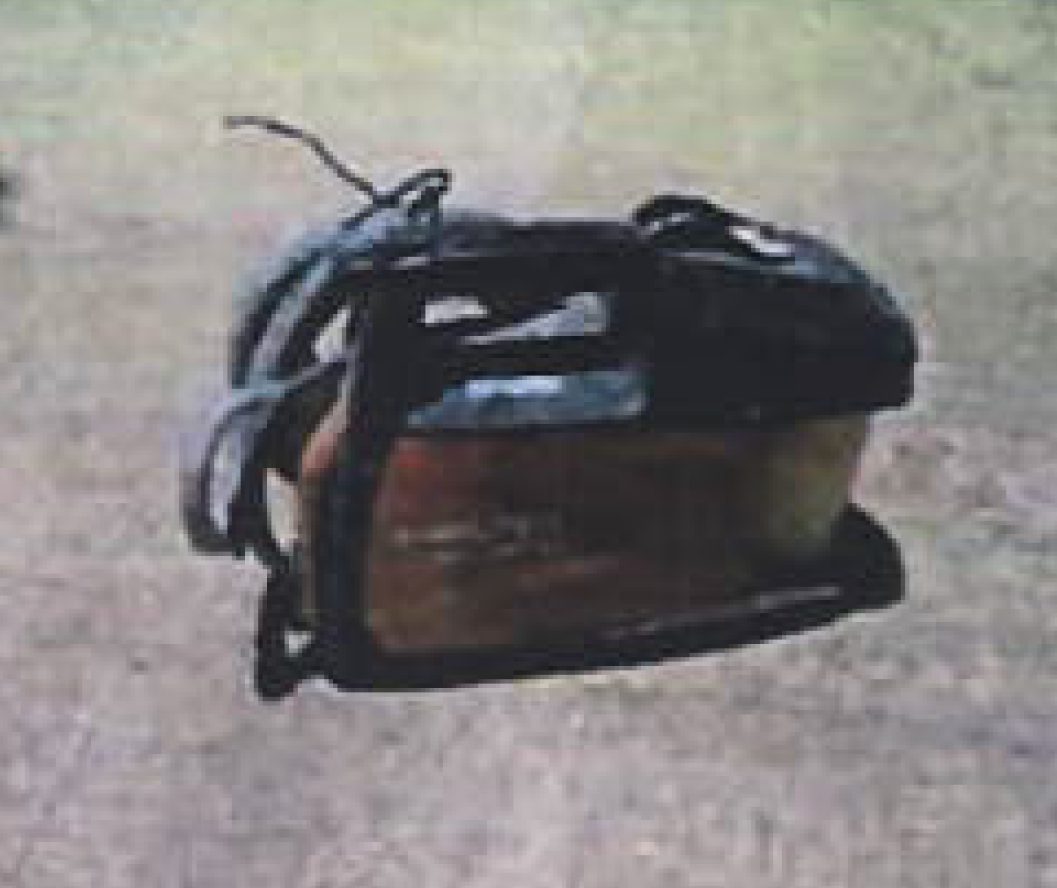 Miniatură 2