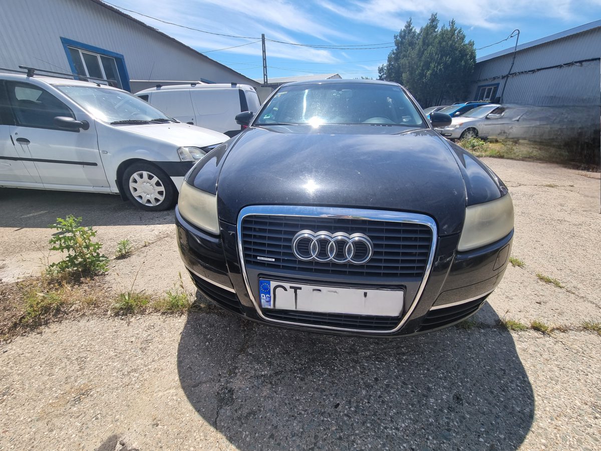 Miniatură 2