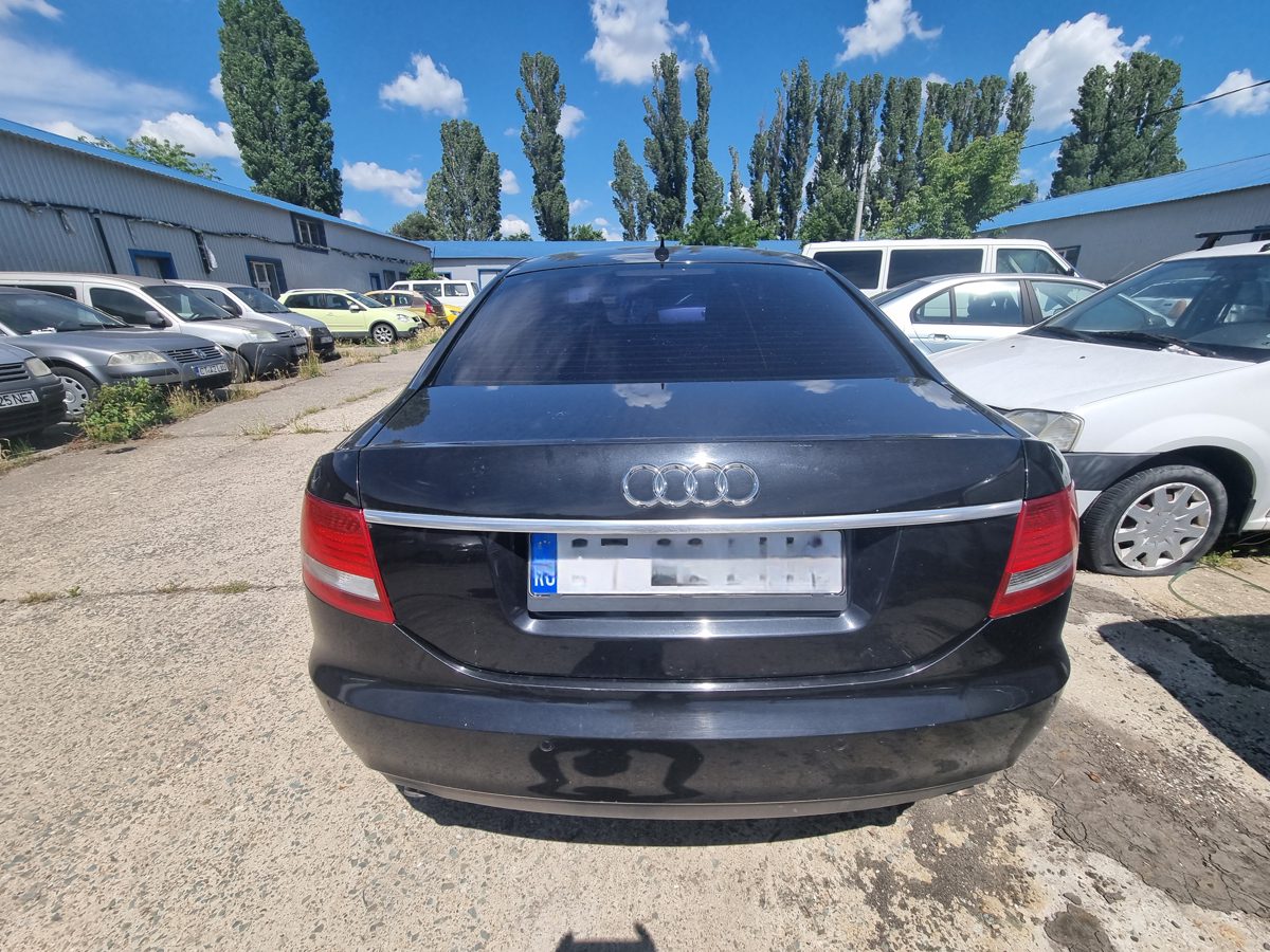 Miniatură 6