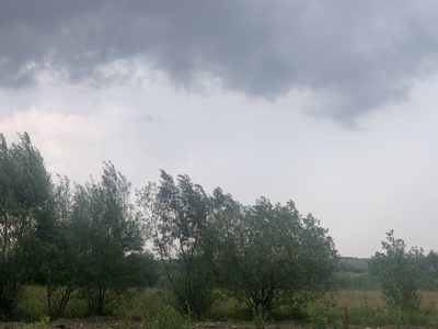 Faneata - in suprafata de 4130 MP
