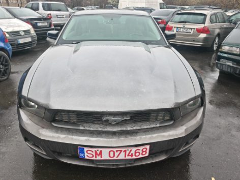 Miniatură 10