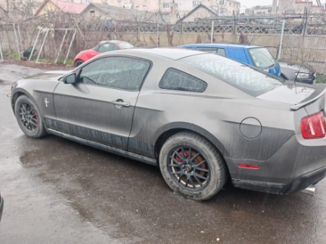 Miniatură 3