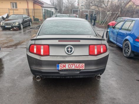 Miniatură 4