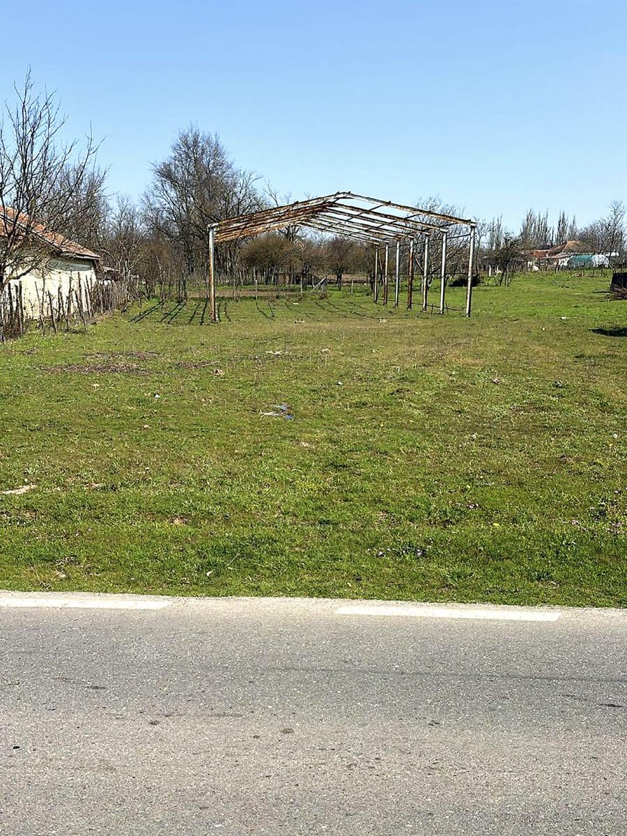 Miniatură 3