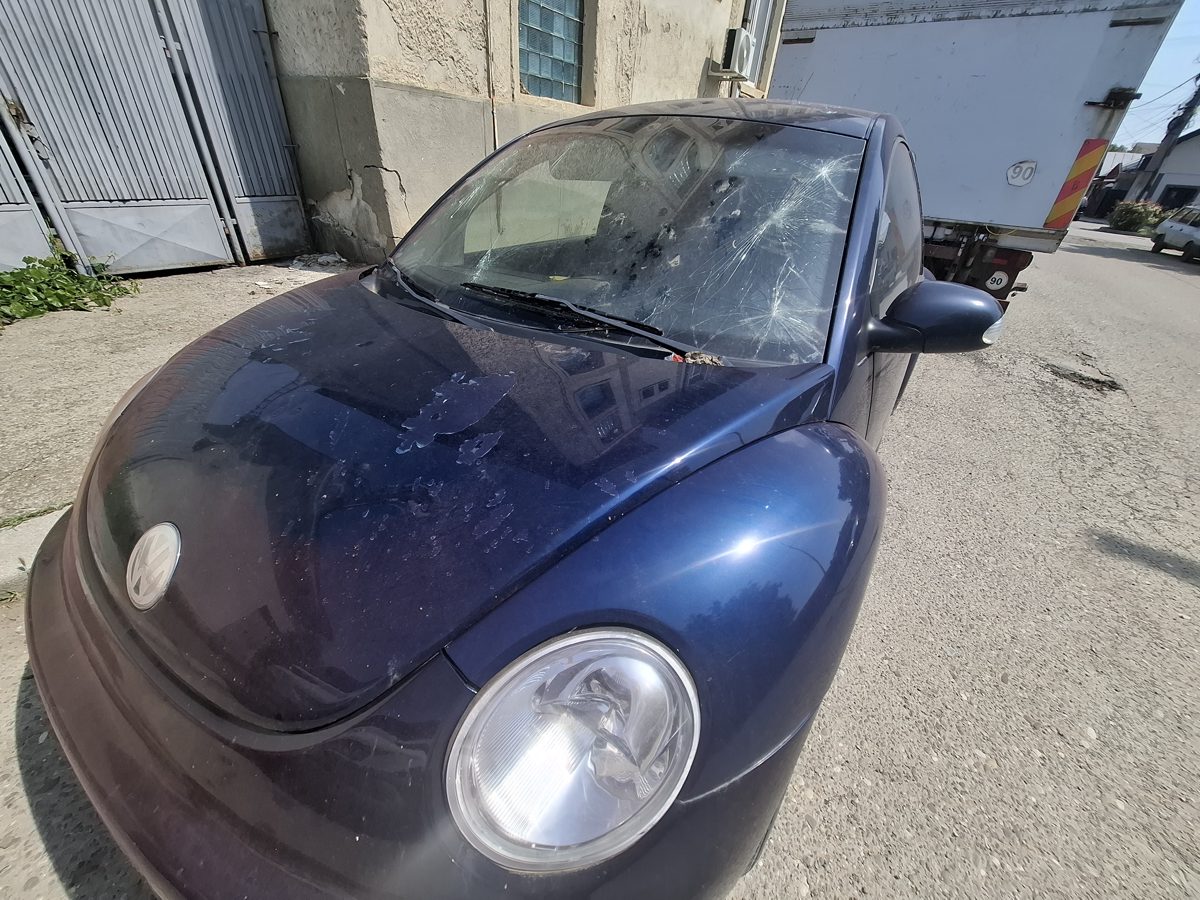 Miniatură 2