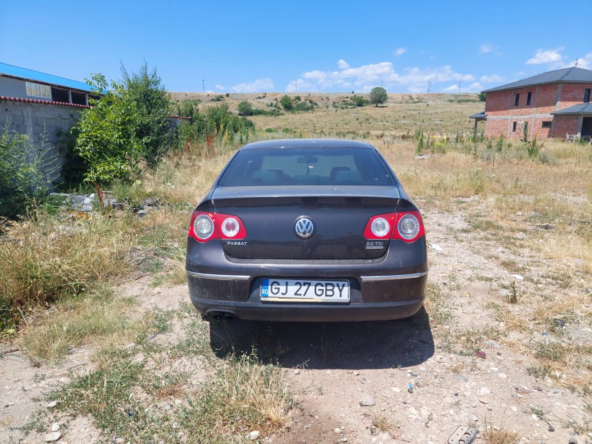 Miniatură 6