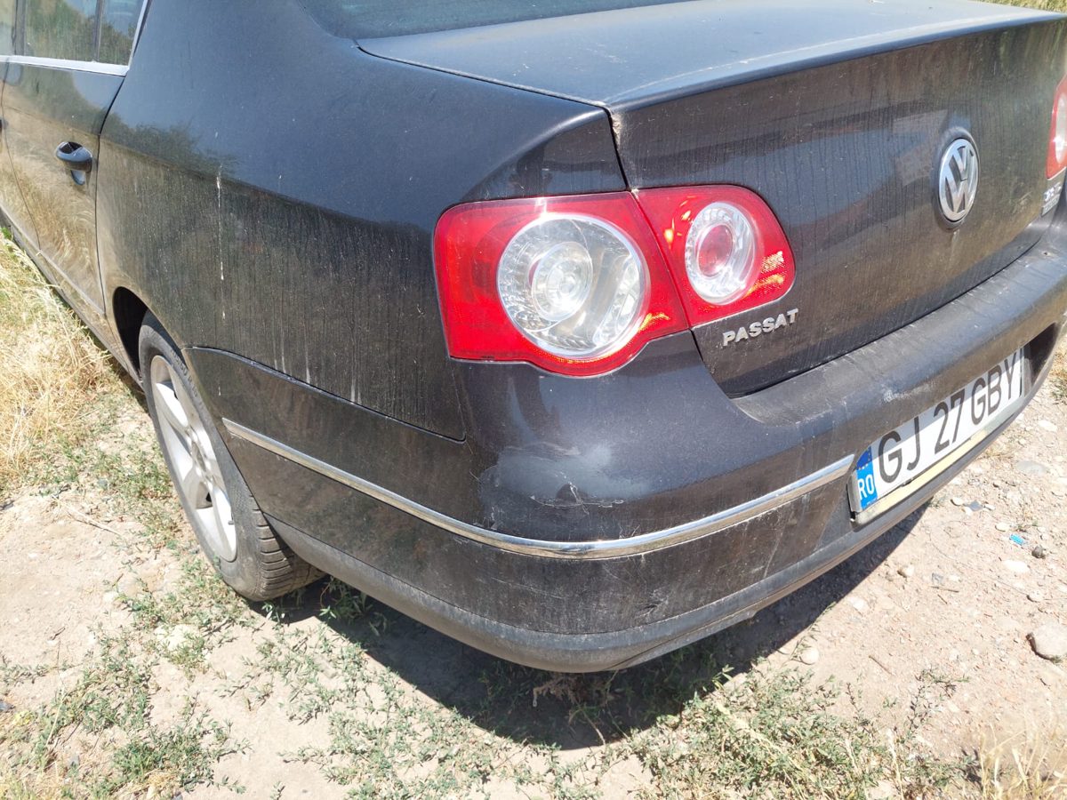 Miniatură 10