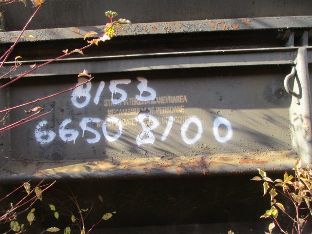 Vagon 815366508100 - Vagon marfa FALS (1980) 1
