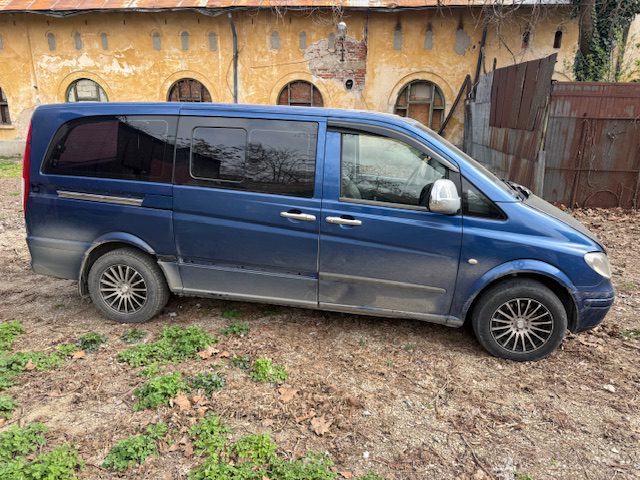 Miniatură 3